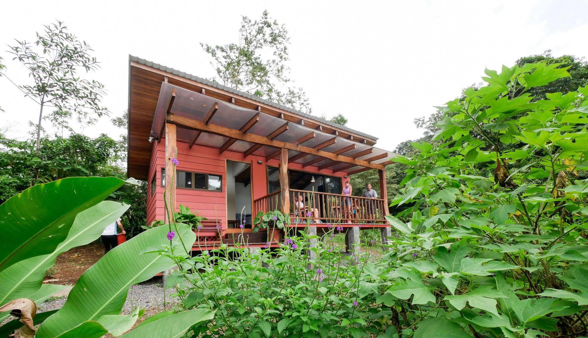 Casitas Tenorio B&B And Farm Bijagua Esterno foto